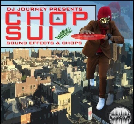 Trip Digital Chop Suey by DJ Journey WAV